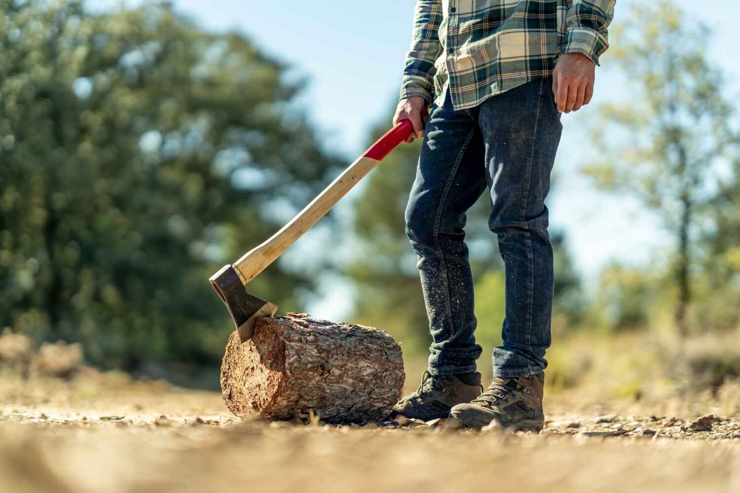 Best Tree Trimming Near Me  in USA